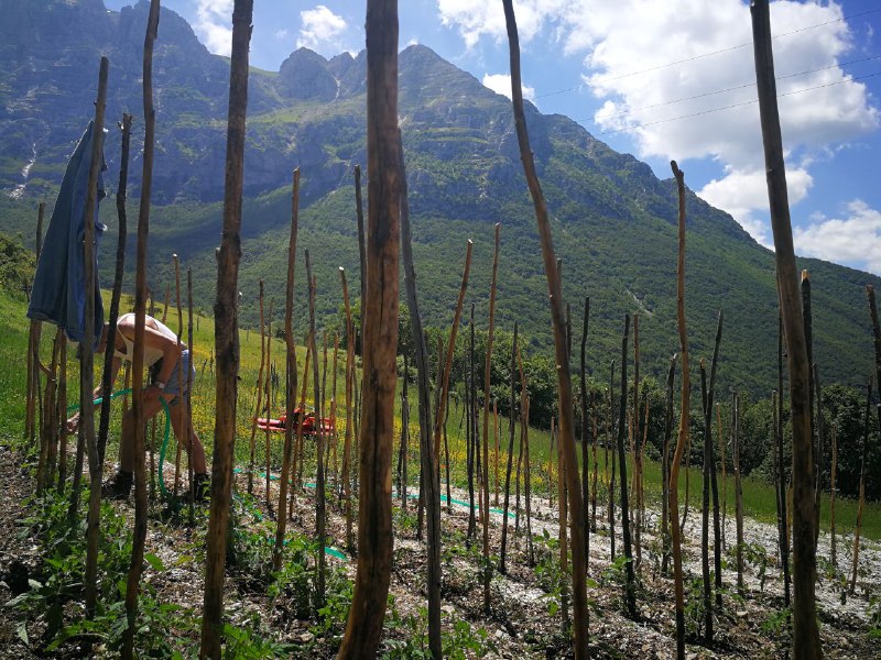 Incontro: Giovani in agricoltura / Canti …