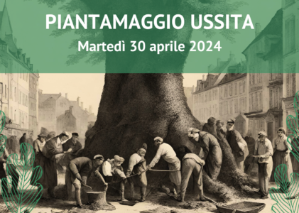 Piantamaggio 2024