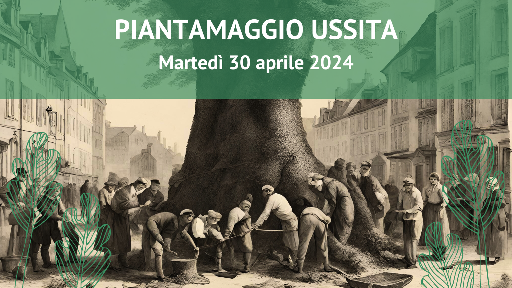 Piantamaggio 2024